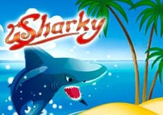 sharky-s-vyvodom-realnyh-deneg Игровые автоматы на деньги с выводом